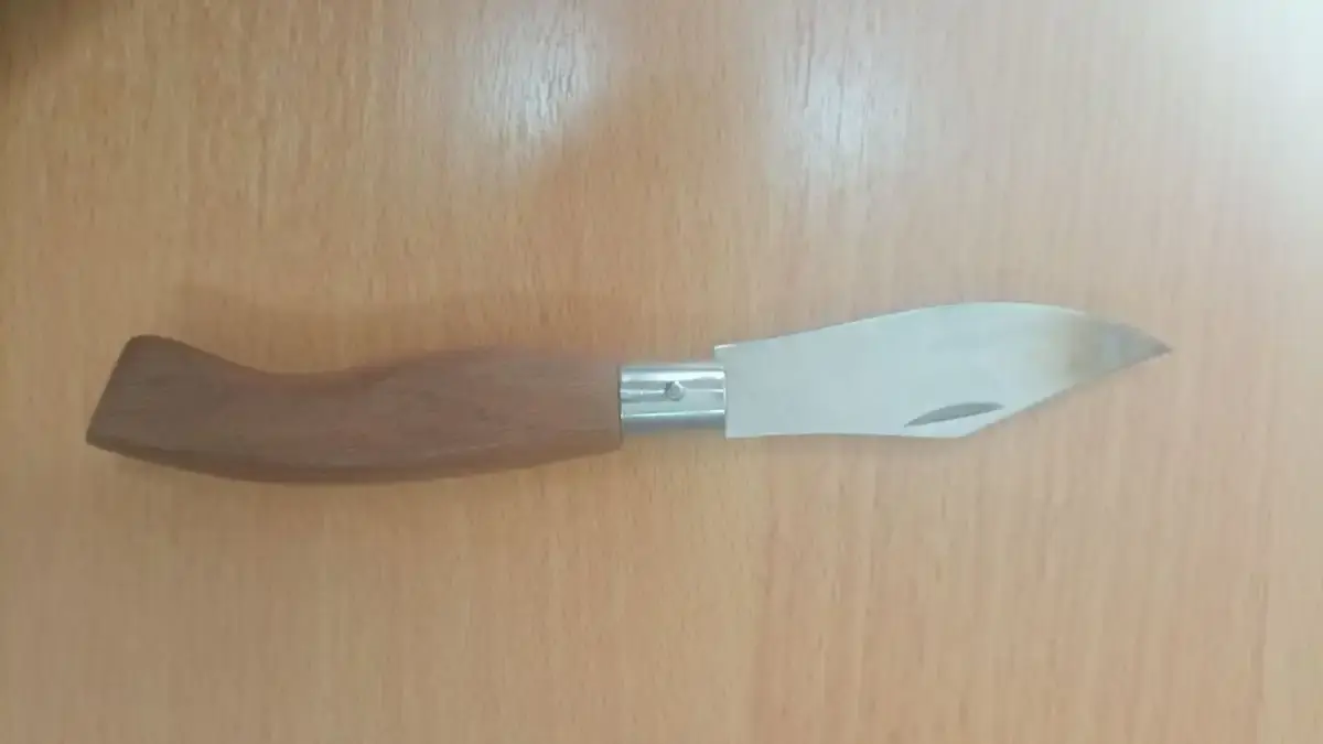 Ηγουμενίτσα: Σύλληψη οδηγού από την ΟΠΚΕ – Κατασχέθηκαν όπλα και σπρέι χημικών