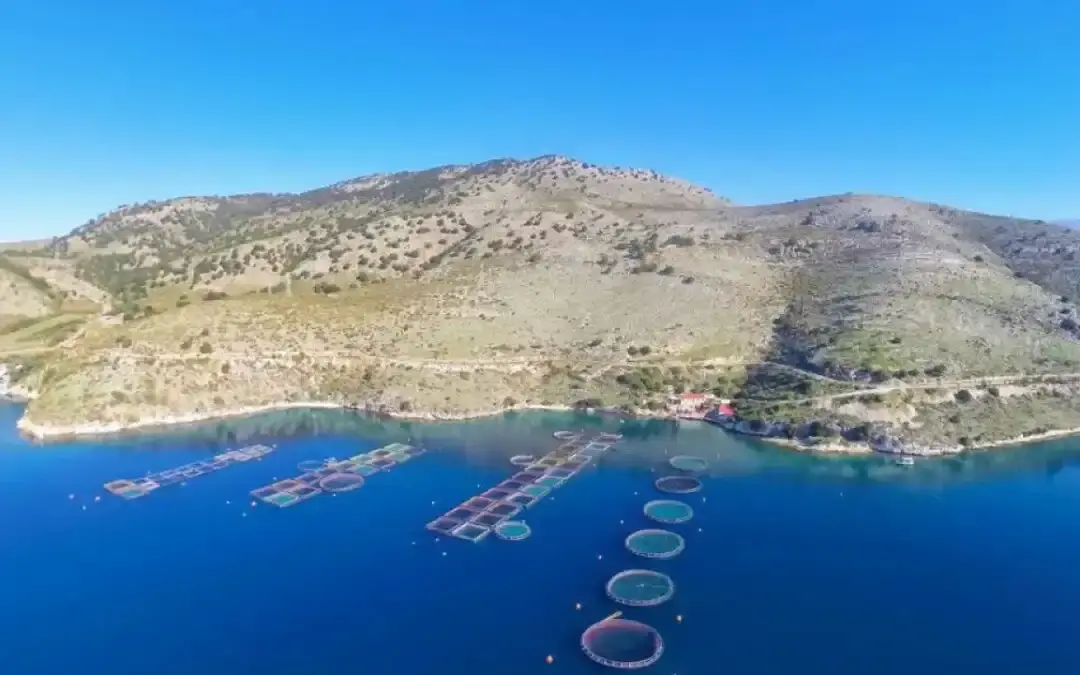 Επιμελητήριο Θεσπρωτίας: Στρατηγική σύνδεση υδατοκαλλιέργειας και τοπικής γαστρονομίας