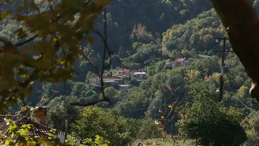 Ήπειρος: Τον Οκτώβριο η πλατφόρμα για μετεγκατάσταση με επιδότηση έως 10.000 ευρώ