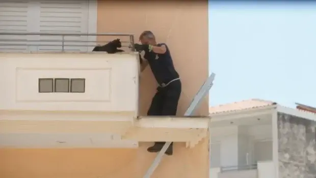 Ηγουμενίτσα: Επιτυχημένη επιχείρηση διάσωσης γάτας από 4ο όροφο