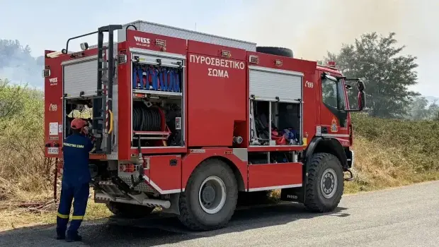 Θεσπρωτικό: Σύλληψη 57χρονου για μεγάλη πυρκαγιά 210 στρεμμάτων – Νέες συλλήψεις ανά τη χώρα