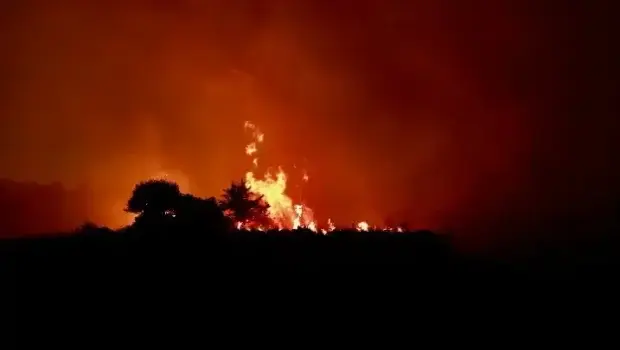 Σε εξέλιξη δασική πυρκαγιά στη Φροσύνη Θεσπρωτίας – Σημαντική κινητοποίηση της Πυροσβεστικής