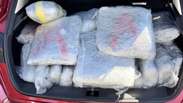 Ιωάννινα: Μεγάλη επιχείρηση της ΕΛ.ΑΣ. με 70 κιλά κάνναβης από τη Θεσπρωτία και σύλληψη στη Δωδώνη