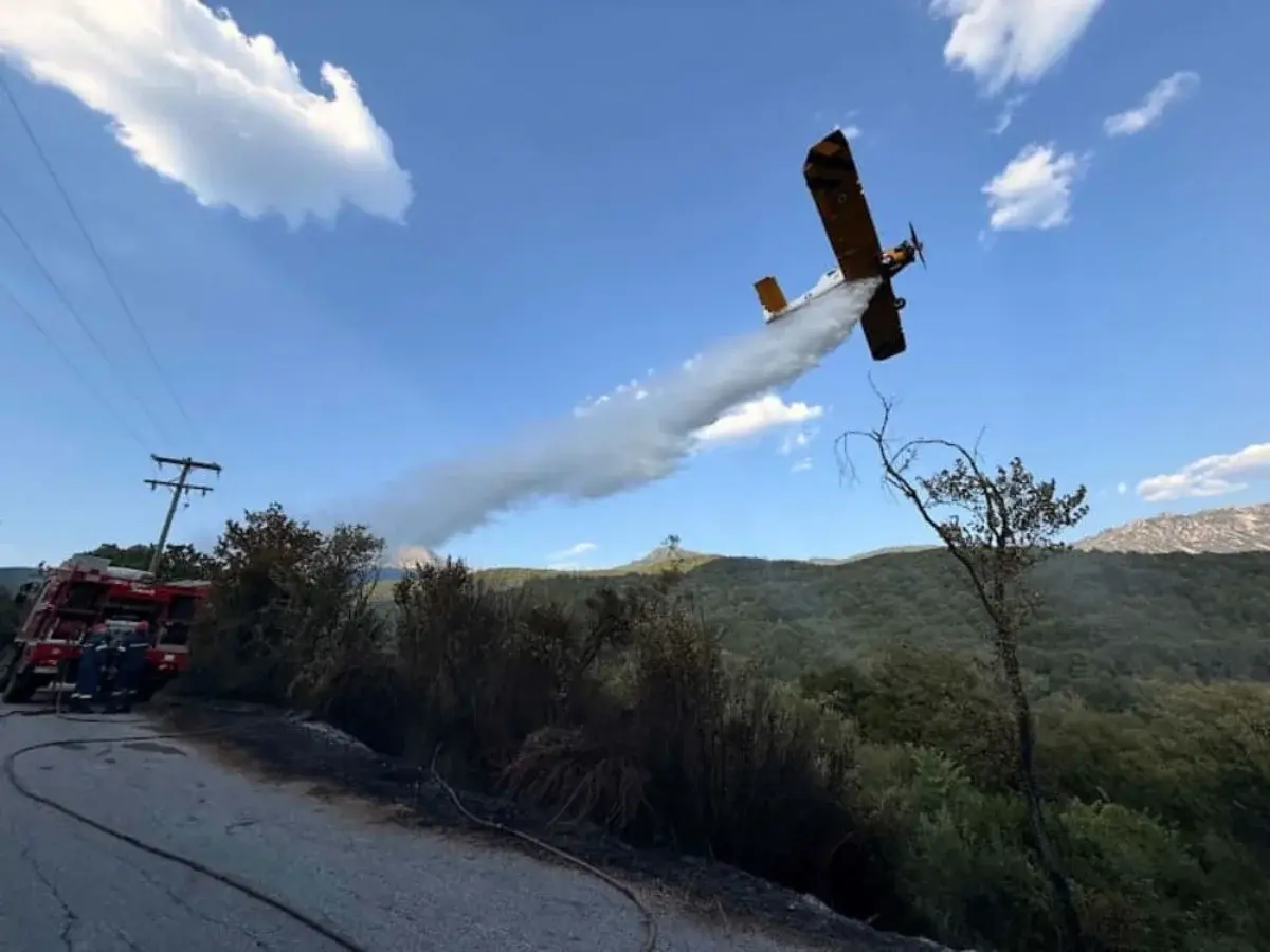 Φωτιά στο Θεσπρωτικό: Μεγάλη κινητοποίηση της Πυροσβεστικής με επίγειες και εναέριες δυνάμεις