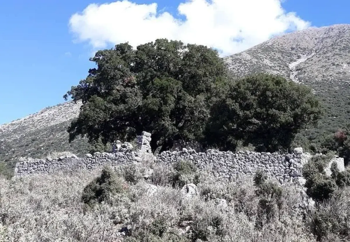 Σούλι: Διεθνής αναγνώριση για το νεκροταφείο των ηρώων και ελπίδες αναστήλωσης για την Παναγία