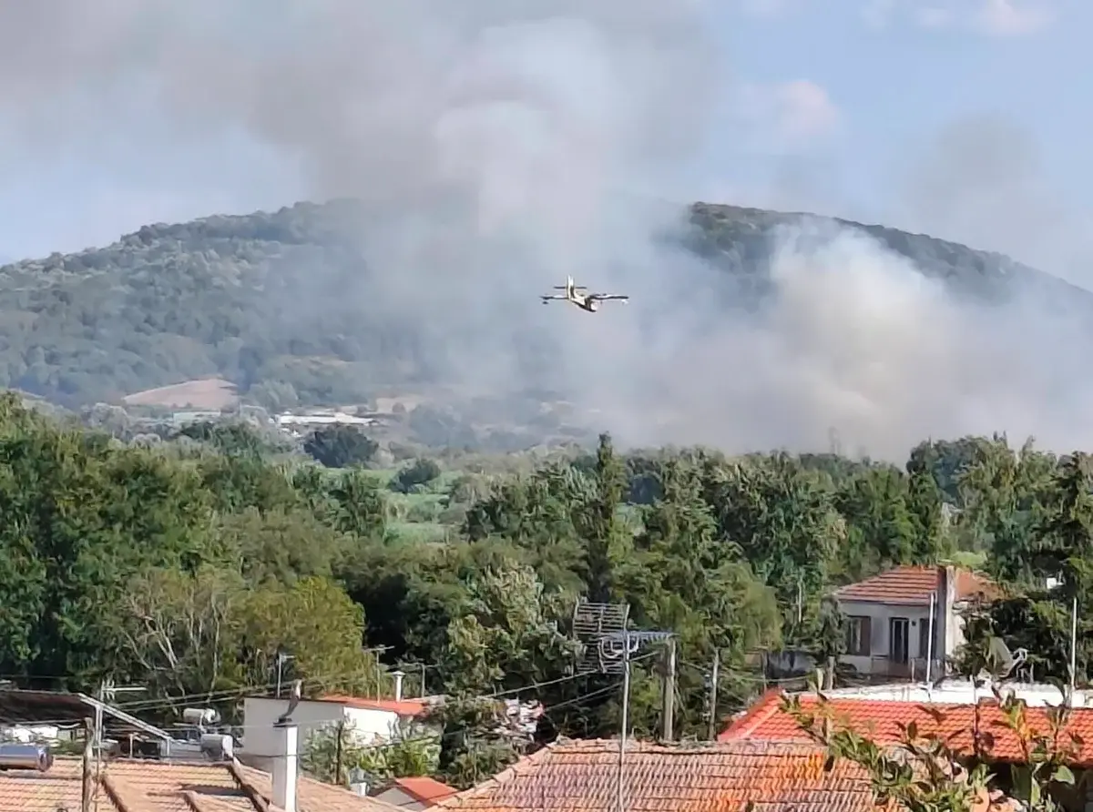 Φωτιά στο Θεσπρωτικό: Μεγάλες ενισχύσεις της Πυροσβεστικής με εναέρια μέσα και πεζοπόρα