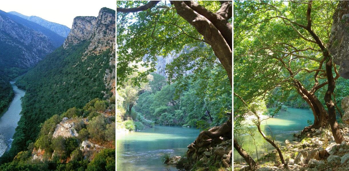 Νέο θεσμικό πλαίσιο για τις περιοχές Natura στη Θεσπρωτία: Όροι και προοπτικές ανάπτυξης