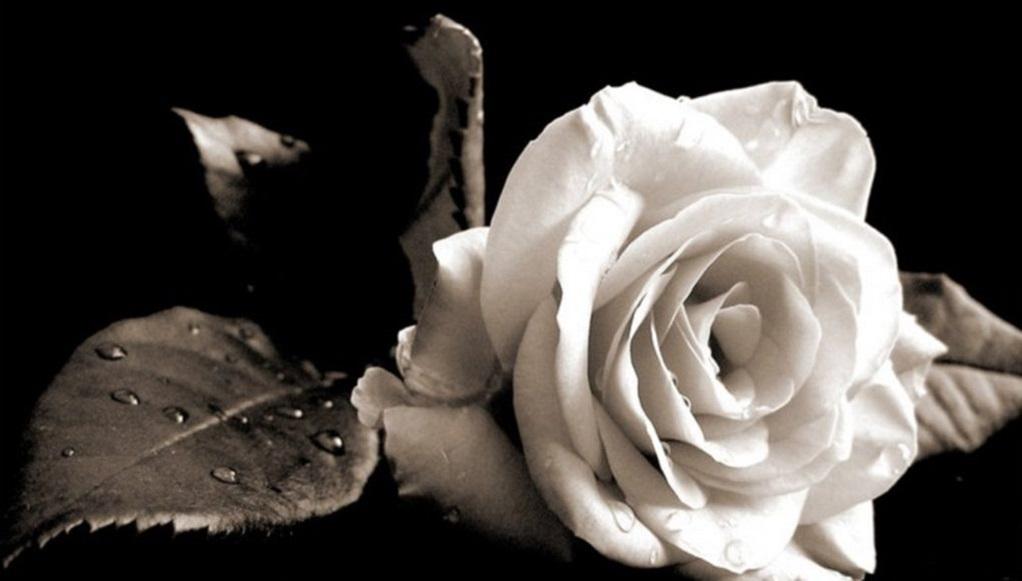 Θλίψη στην εκπαιδευτική κοινότητα: Το συλλυπητήριο μήνυμα της ΕΛΜΕ Θεσπρωτίας για τη Δήμητρα Χαντζάρα