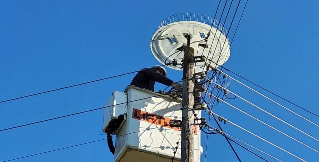 Θεσπρωτία: Προστασία για τους πελαργούς με νέες τεχνητές φωλιές σε 8 περιοχές