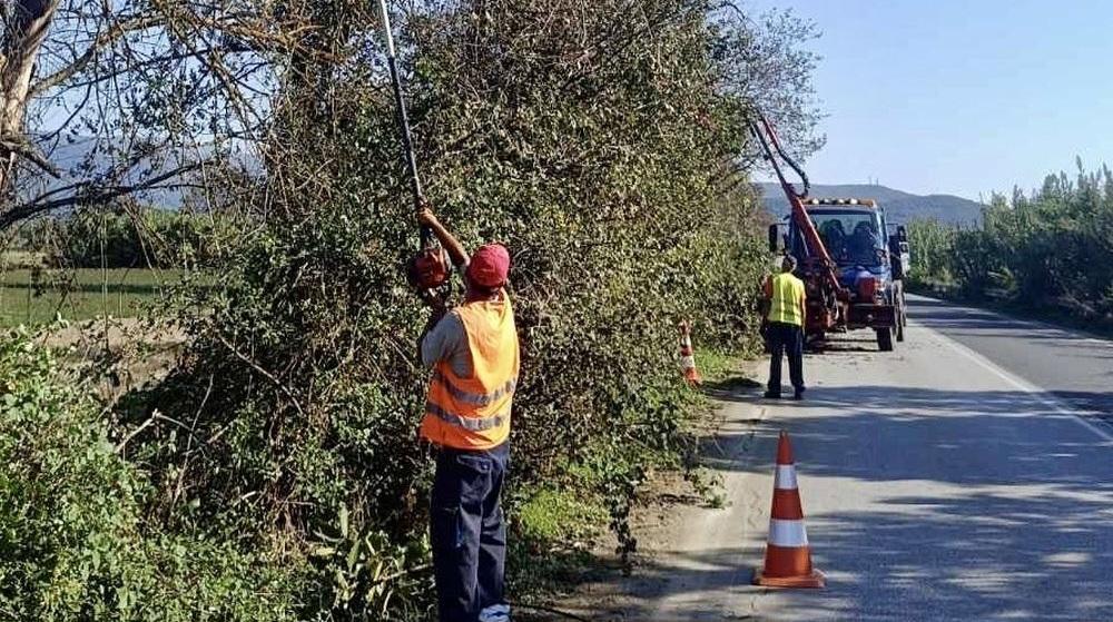 74.500 ευρω απο την Περιφέρεια για συντήρηση πρασίνου και καθαρισμό σε τμηματα του οδικού δικτύου της Θεσπρωτίας