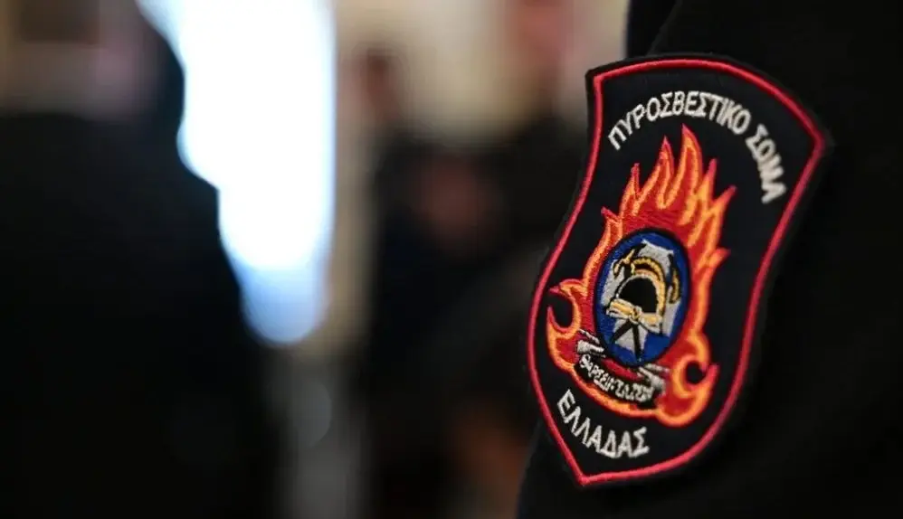 Πρόστιμα “φωτιά” από την Πυροσβεστική για παραβάσεις της αντιπυρικής σε Θεσπρωτία και Ιωάννινα