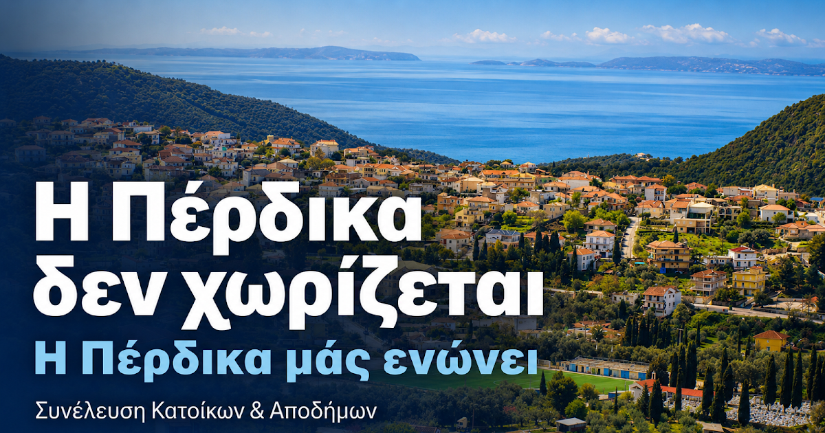 Πέρδικα: Γιατί ο δημόσιος διάλογος και η συμμετοχή των πολιτών δεν πρέπει να ποινικοποιούνται