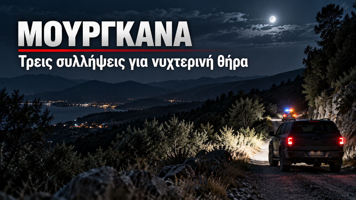 Θεσπρωτία: Τρεις συλλήψεις για παράνομη νυχτερινή θήρα