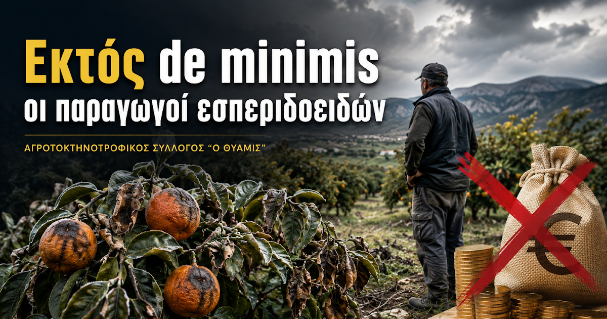 Έντονες αντιδράσεις από τον Σύλλογο «Ο Θύαμις» για τον αποκλεισμό των παραγωγών εσπεριδοειδών της Θεσπρωτίας από τις ενισχύσεις de minimis