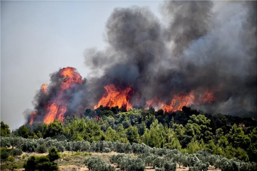 Θεσπρωτία: Σε συναγερμό για υψηλό κίνδυνο πυρκαγιάς σήμερα Πέμπτη