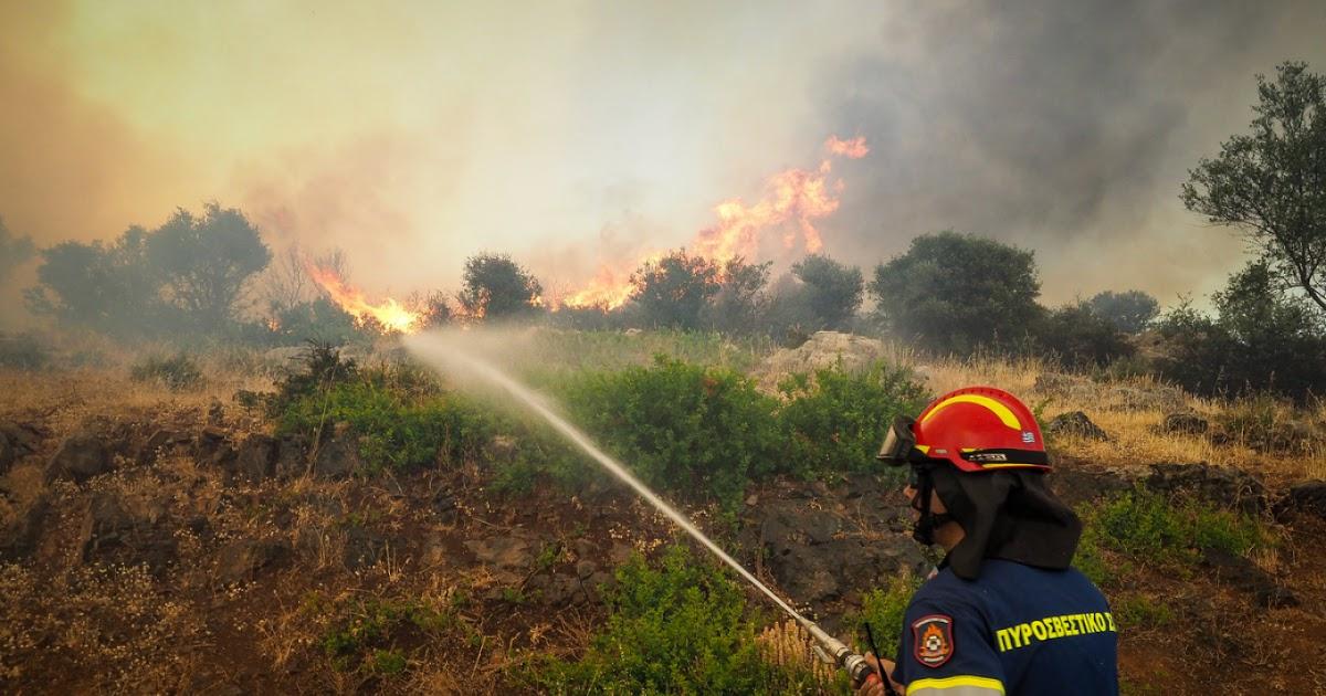 Θεσπρωτία: Σε συναγερμό λόγω υψηλού κινδύνου πυρκαγιάς αύριο