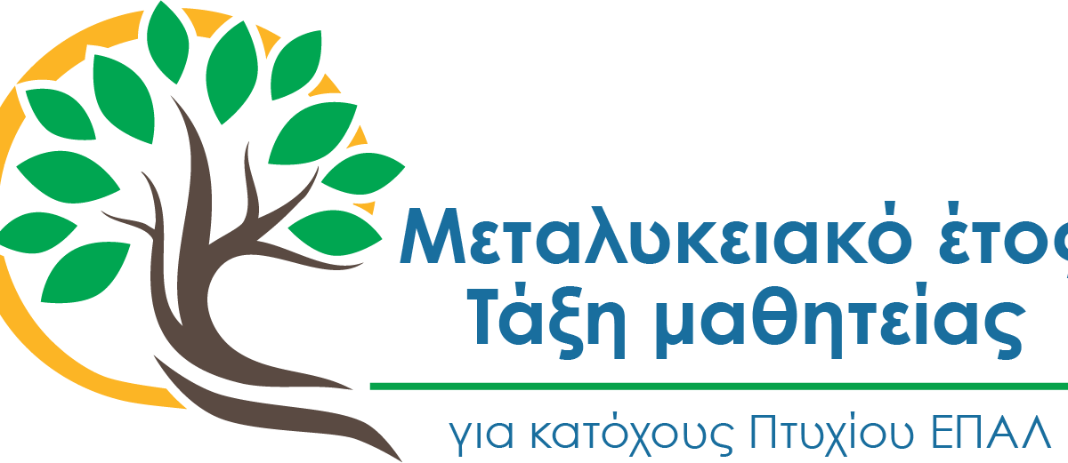 Μεταλυκειακό Έτος - Τάξη Μαθητείας: Όλα όσα πρέπει να γνωρίζουν οι επιχειρήσεις και οι απόφοιτοι των ΕΠΑΛ Θεσπρωτίας