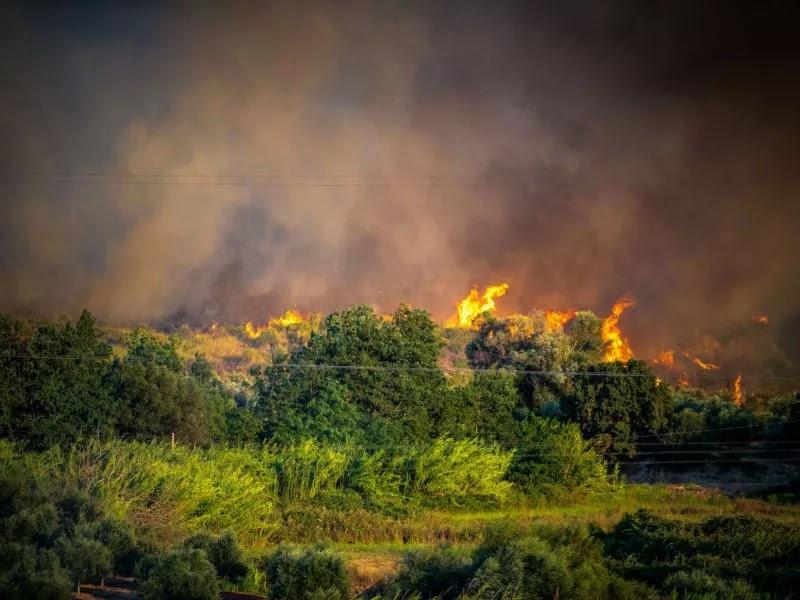 Σε αυξημένη επιφυλακή αύριο η Θεσπρωτία λόγω υψηλού κινδύνου πυρκαγιάς