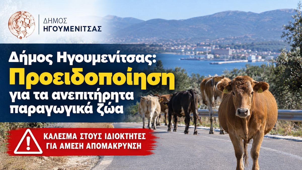 Δήμος Ηγουμενίτσας: Κάλεσμα στους ιδιοκτήτες για άμεση απομάκρυνση ανεπιτήρητων ζώων