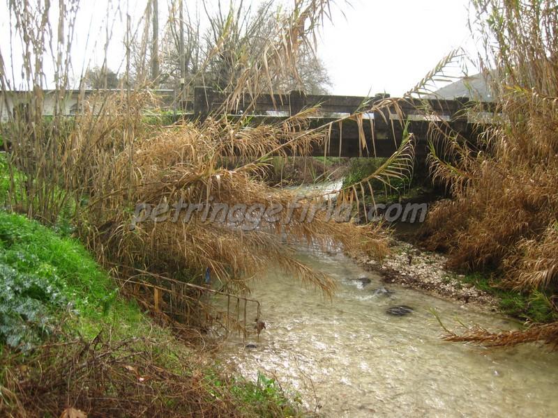 Θεσπρωτία: Η κρυφή ιστορία και η ανθρωποθυσία στο γεφύρι της Κουνουπίτσας