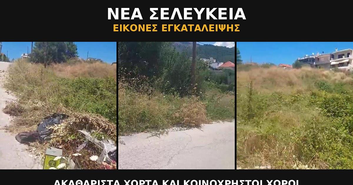 Νέα Σελεύκεια Ηγουμενίτσας: Εικόνες εγκατάλειψης και κίνδυνοι εν μέσω καλοκαιριού (Βίντεο)