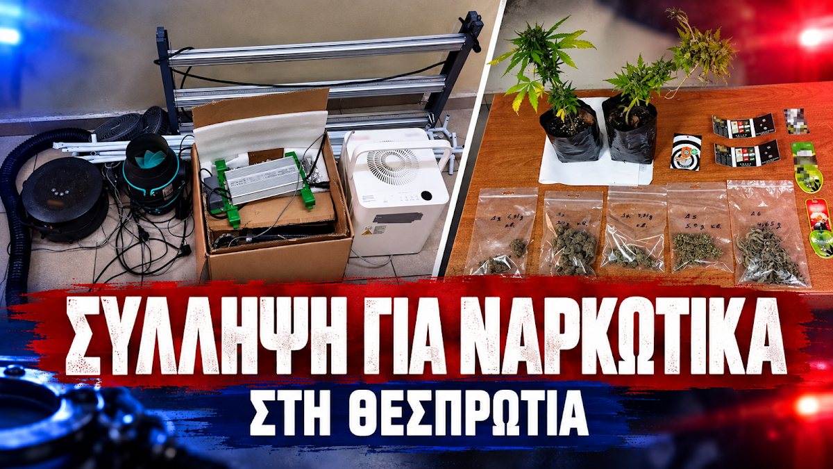 Θεσπρωτία: Έρευνα σε σπίτι αποκάλυψε καλλιέργεια κάνναβης και όπλο