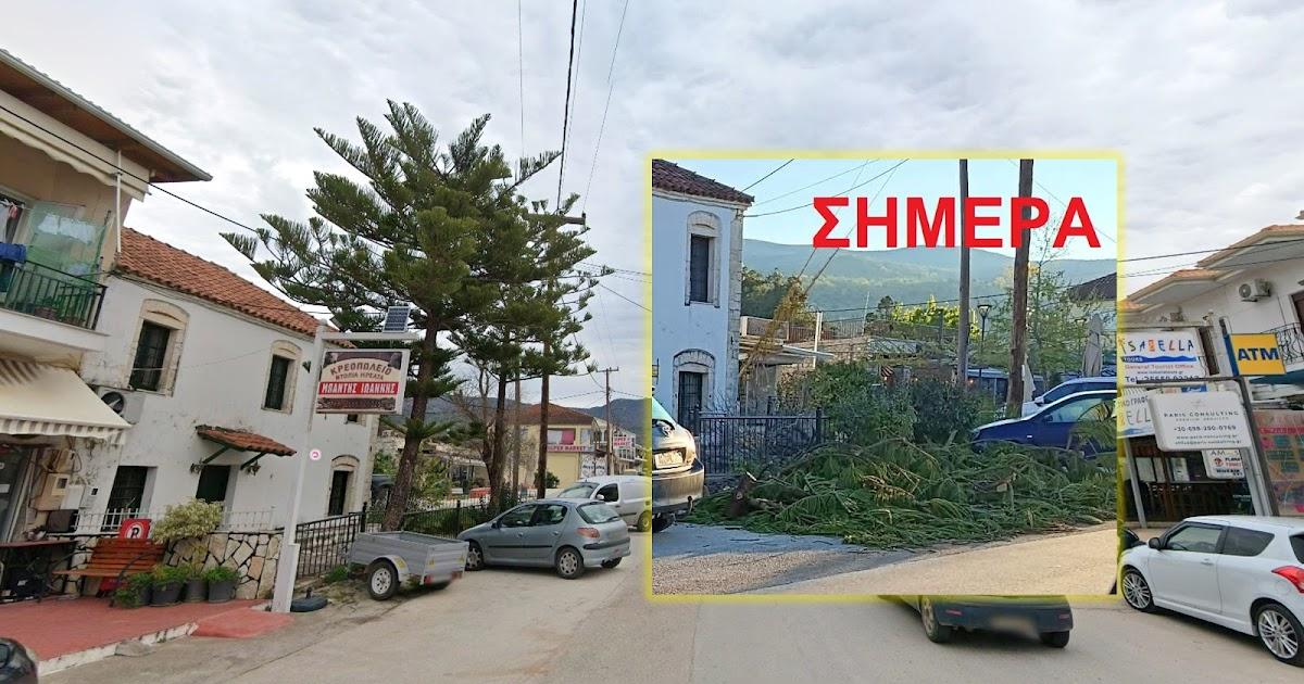 Σύβοτα: Έντονες αντιδράσεις για την κοπή αιωνόβιων αροκάριων