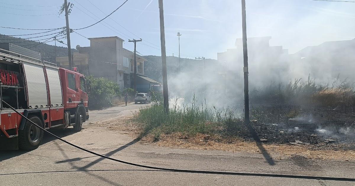 Φωτιά στην Ηγουμενίτσα: Άμεση κινητοποίηση στο Λαδοχώρι λόγω πυρκαγιάς σε οικόπεδο