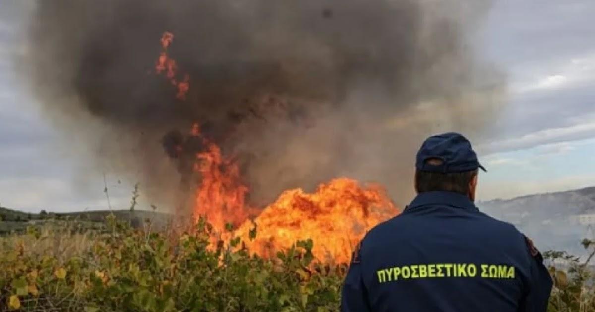 Θεσπρωτία: Σε συναγερμό για υψηλό κίνδυνο πυρκαγιάς (Κατηγορία 3) αύριο Τρίτη