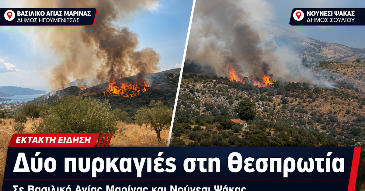Φωτιά στη Θεσπρωτία: Σε συναγερμό η Πυροσβεστική για δύο εστίες