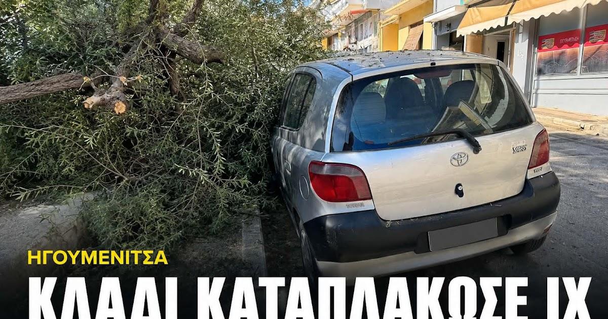 Ηγουμενίτσα: Μεγάλο κλαδί ελιάς έπεσε και καταπλάκωσε σταθμευμένο ΙΧ