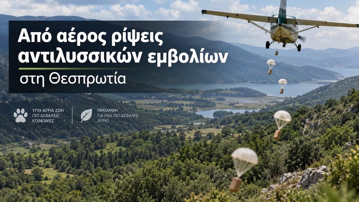 Θεσπρωτία: Εναέριες ρίψεις αντιλυσσικών εμβολίων για τις αλεπούδες από τον Οκτώβριο