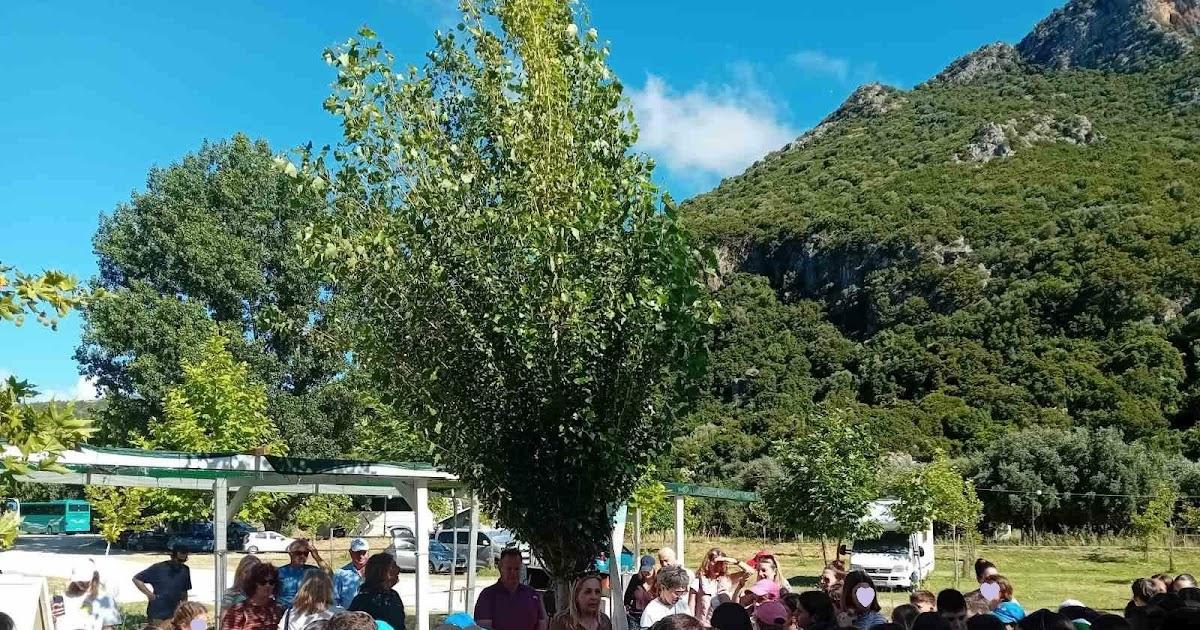 Παγκόσμια Ημέρα Περιβάλλοντος: Δράσεις ευαισθητοποίησης για τους μαθητές στον Αχέροντα