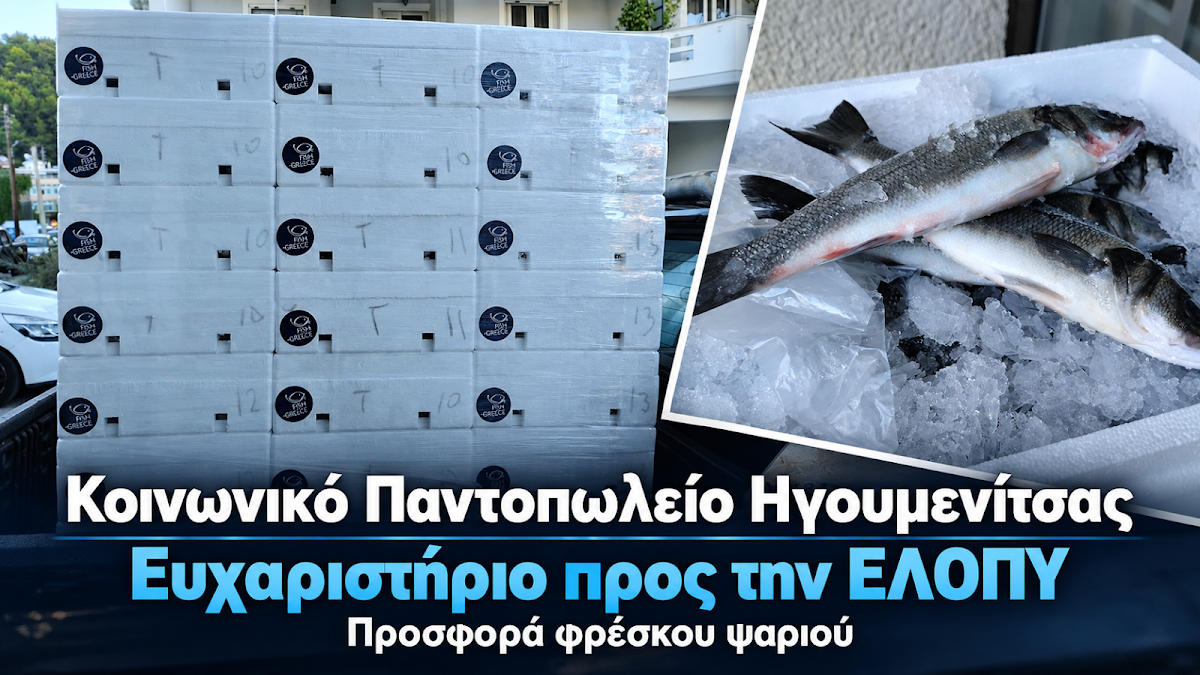 Δήμος Ηγουμενίτσας: Ευχαριστήριο μήνυμα από το Κοινωνικό Παντοπωλείο για δωρεά ψαριών