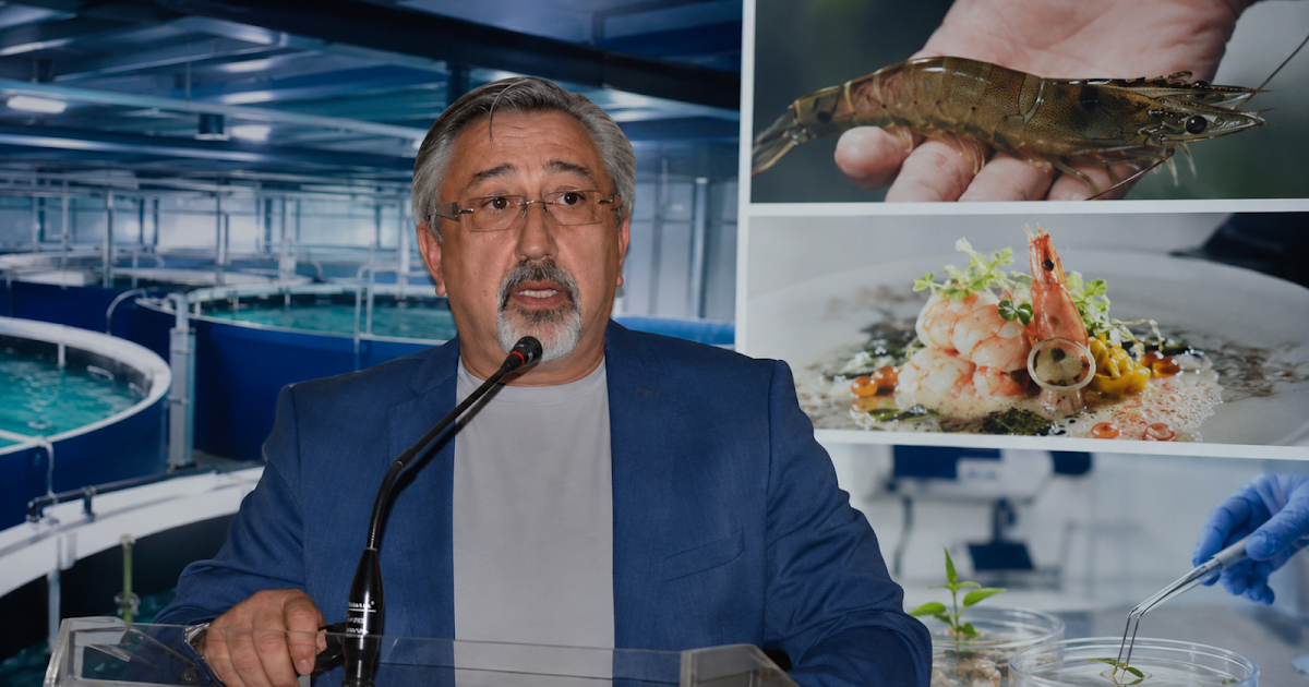 Γαρίδα Θεσπρωτίας: Πώς η καινοτομία αναδεικνύει την κορυφαία γεύση της
