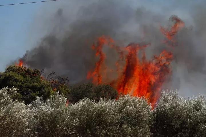 Υψηλός κίνδυνος πυρκαγιάς αύριο στη Θεσπρωτία