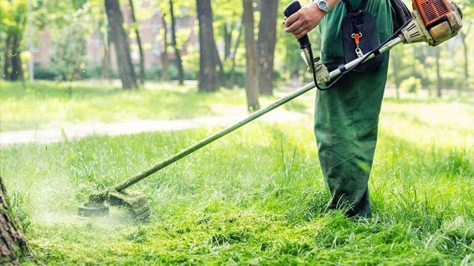 Δήμος Ηγουμενίτσας: Αυστηρή προειδοποίηση για τον καθαρισμό οικοπέδων – Όσα πρέπει να γνωρίζετε