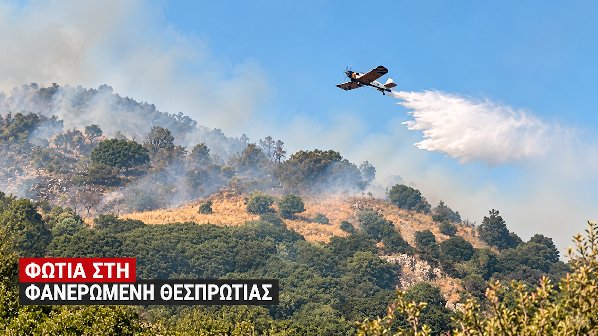 Θεσπρωτία: Φωτιά σε δασική έκταση – Στη μάχη 26 πυροσβέστες και 4 αεροσκάφη (+ΒΙΝΤΕΟ)