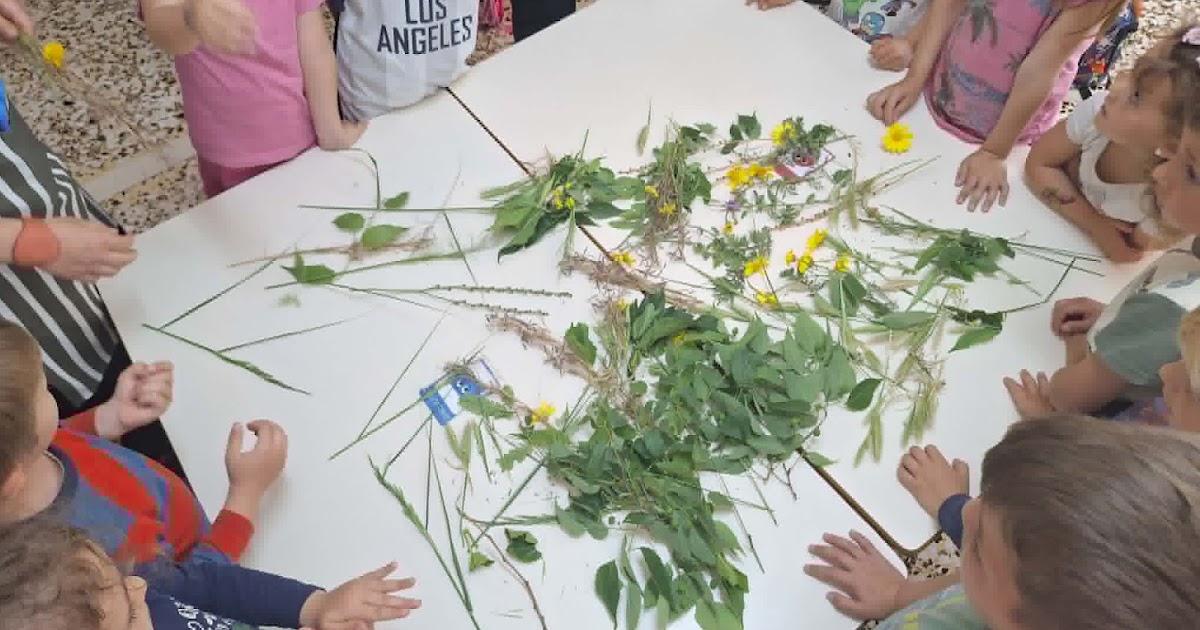 Τα παιδιά γνώρισαν την κυανοτυπία μέσα από το φως του ήλιου στο Νηπιαγωγείο Πέρδικας
