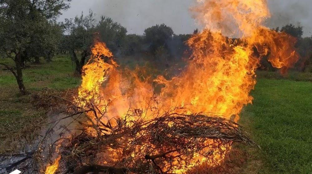 Σύλληψη και τσουχτερό πρόστιμο για πυρκαγιά στο Καστρί Ηγουμενίτσας