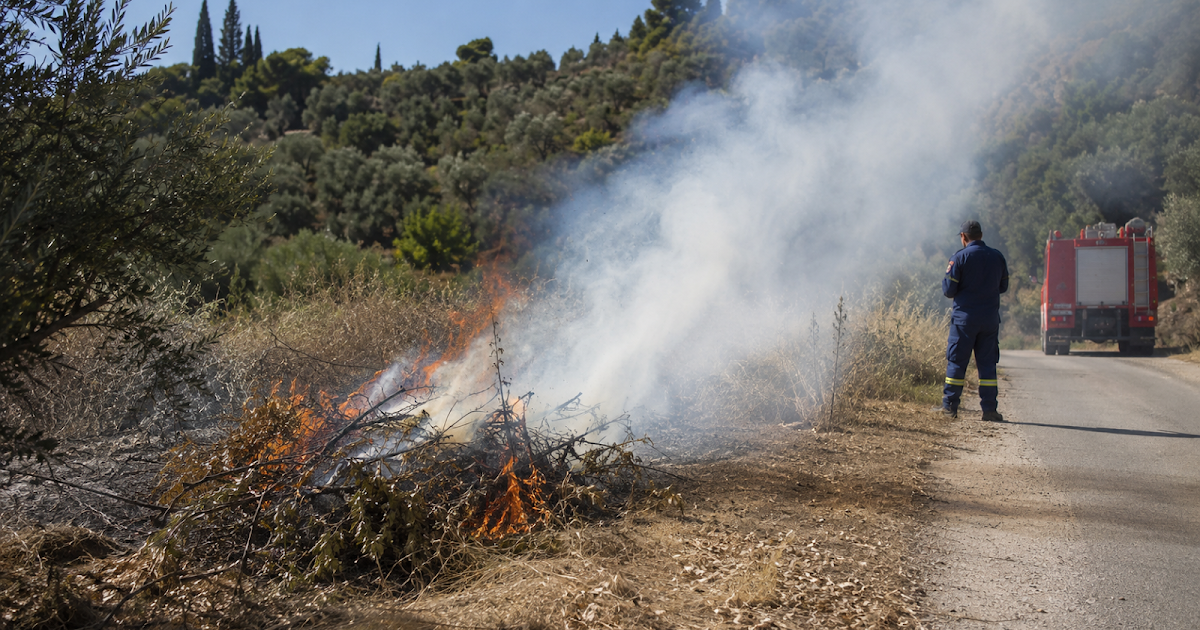 Ηγουμενίτσα: Πρόστιμο 1.000 ευρώ για παράνομη καύση κλαδιών