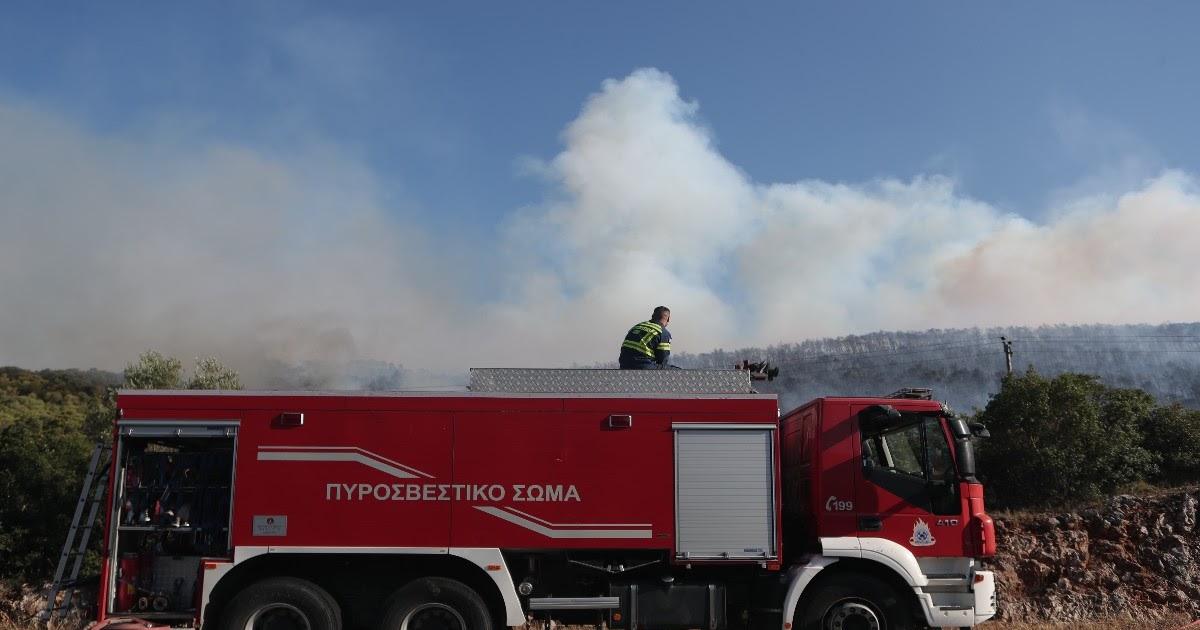 Υψηλός κίνδυνος πυρκαγιάς στη Θεσπρωτία: Αυστηρές συστάσεις και απαγορεύσεις από την Πυροσβεστική