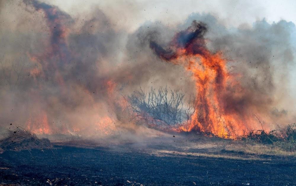 Στο «κίτρινο» και το Σάββατο η Θεσπρωτία για κίνδυνο πυρκαγιάς