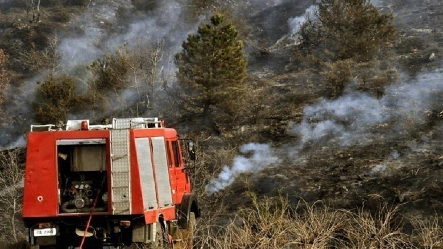 Ήπειρος: «Βροχή» προστίμων για φωτιές και ψησίματα σε δασικές εκτάσεις