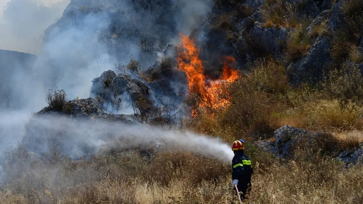 Θεσπρωτία: Πρόστιμο 1.000 ευρώ για παράνομη καύση στην Πέρδικα