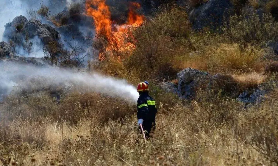 Πύρινος συναγερμός σε Θεσπρωτία και Πρέβεζα: Τρεις φωτιές μέσα σε λίγες ώρες