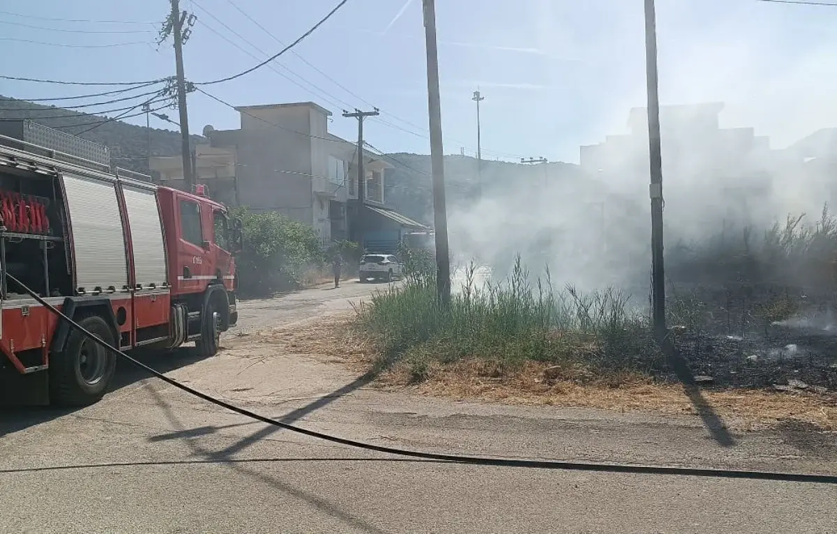 Ηγουμενίτσα: Πυρκαγιά σε ακαθάριστο οικόπεδο εντός κατοικημένης περιοχής - Συναγερμός στο Λαδοχώρι