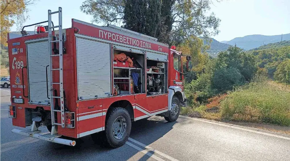 Θεσπρωτία: Βαρύ πρόστιμο για φωτιά κοντά σε δάσος με σκοπό την κλοπή χαλκού