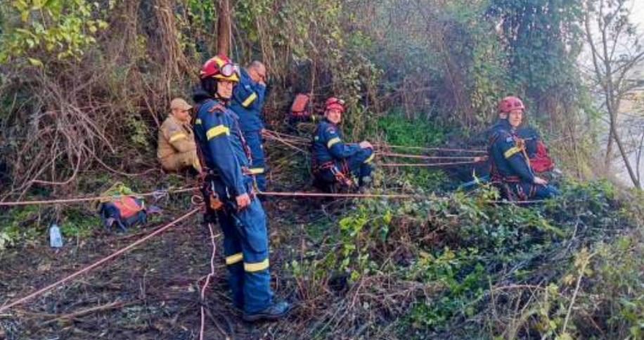 Η Πυροσβεστική διέσωσε σκύλο που ειχε πέσει σε χαράδρα στα ορη Παραμυθιάς